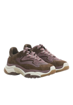 Ash - Sneakers Addict01