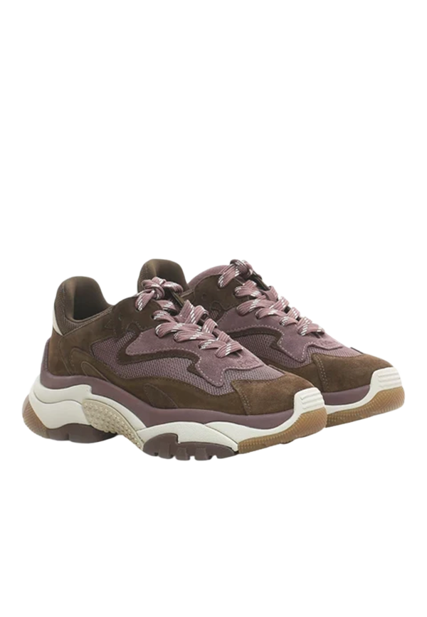 Ash - Sneakers Addict01