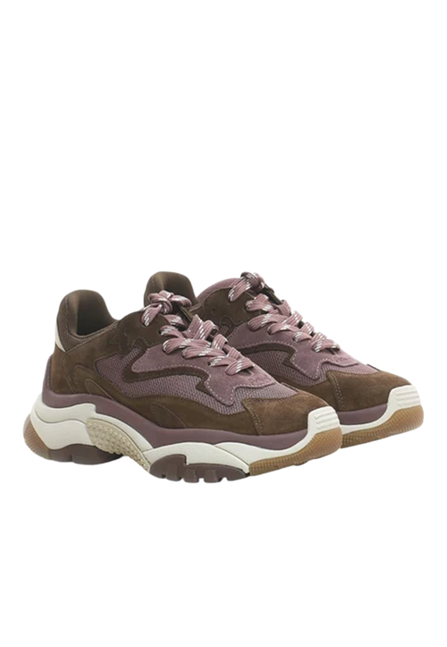 Ash - Sneakers Addict01
