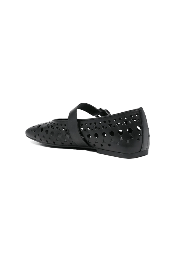Ash - Ballerine Brook