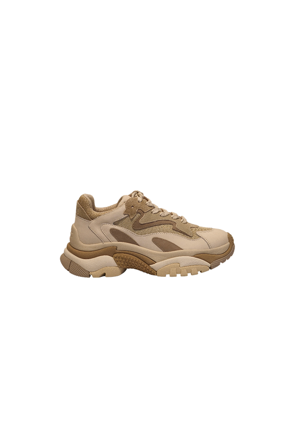 Ash - Sneakers Addict01