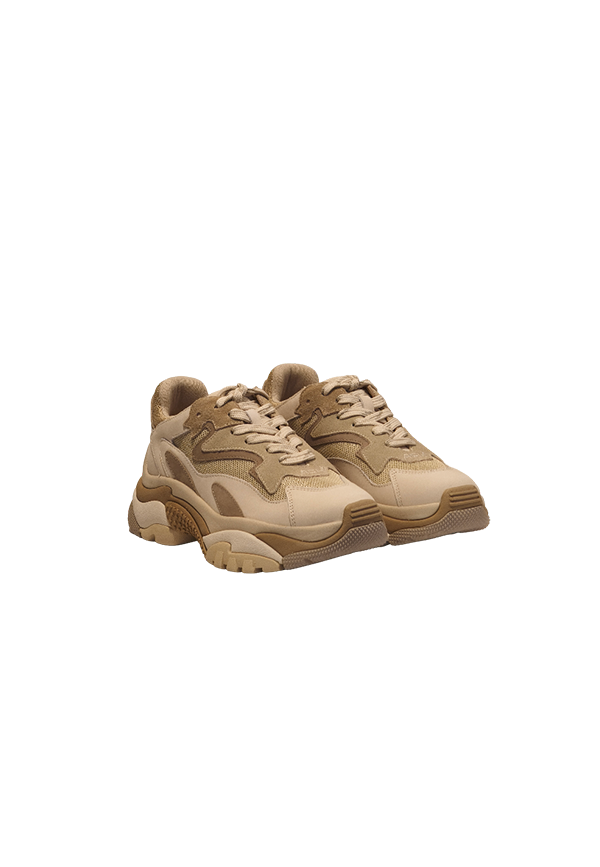 Ash - Sneakers Addict01