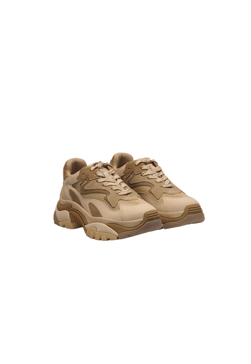 Ash - Sneakers Addict01