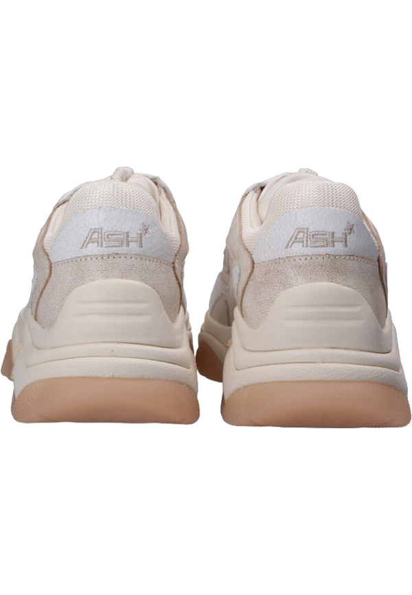 Ash - Sneaker Addict